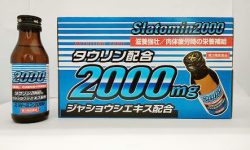 スラトミン2000